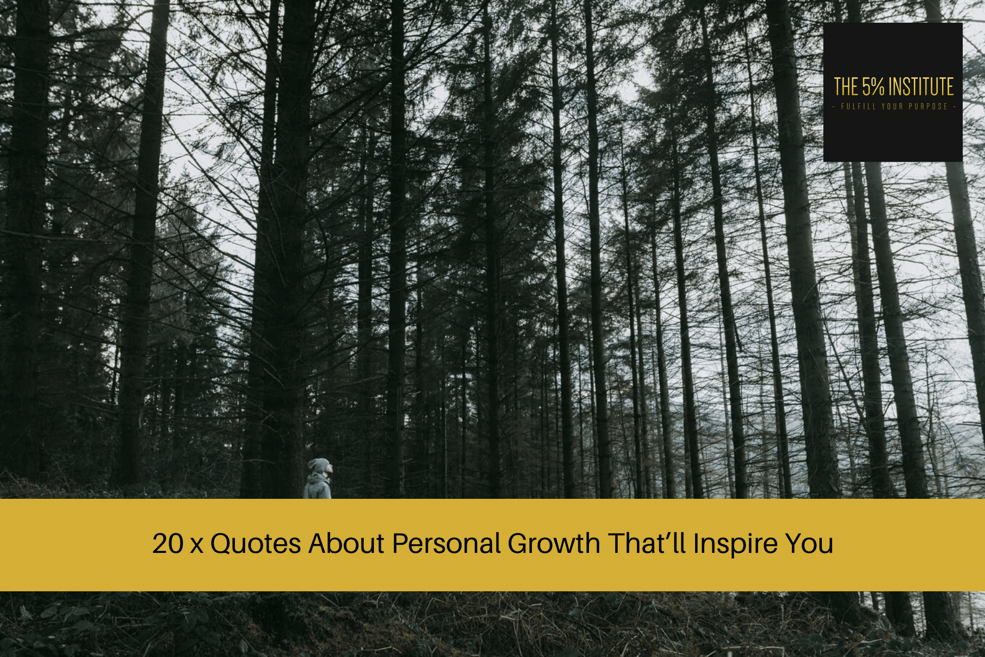 quotes about personal growth