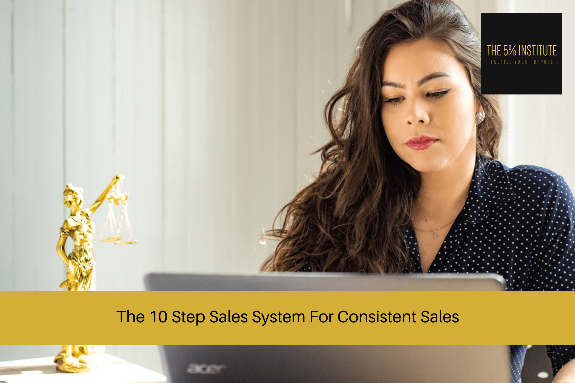 10 step sales system
