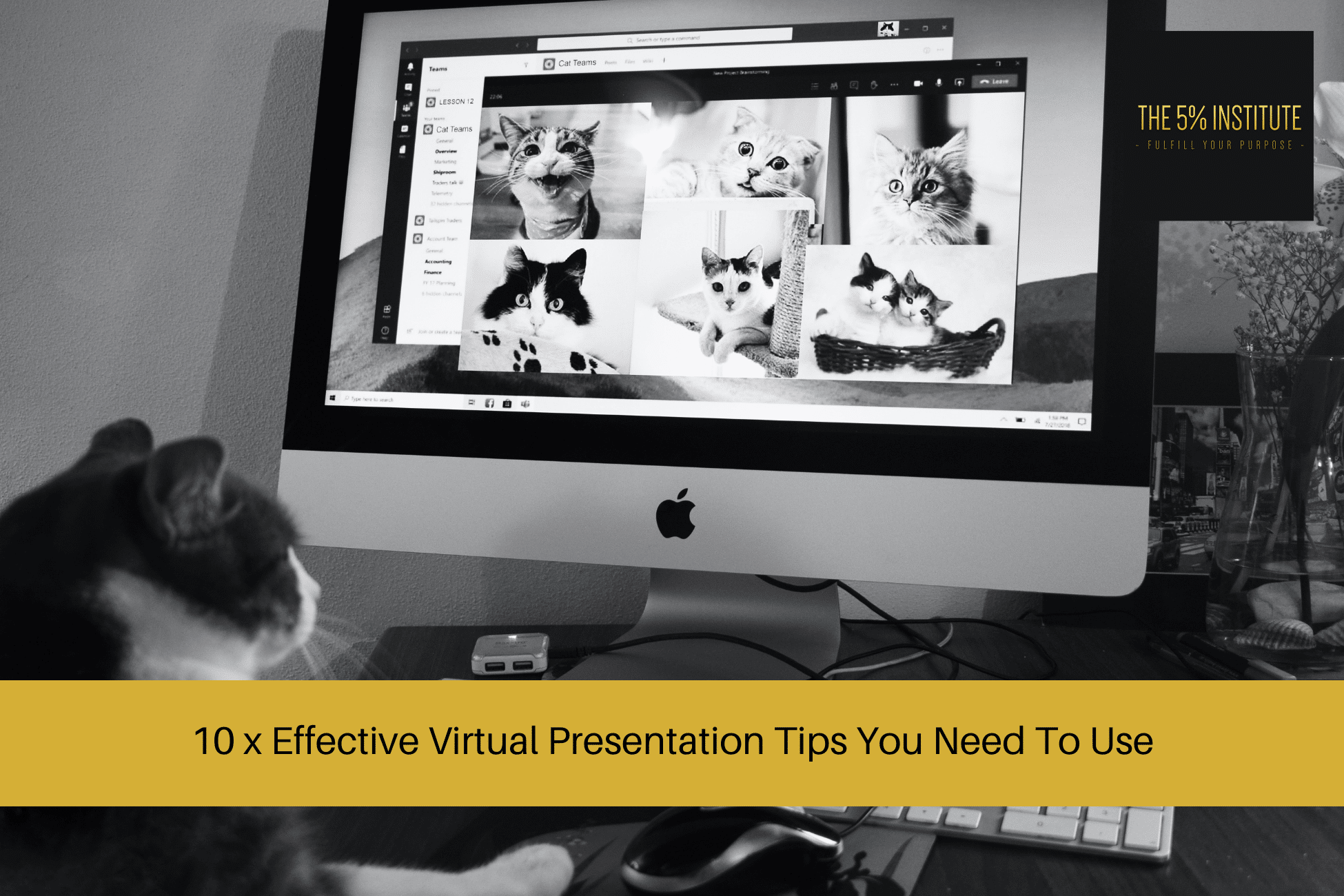 Effective Virtual Presentation Tips