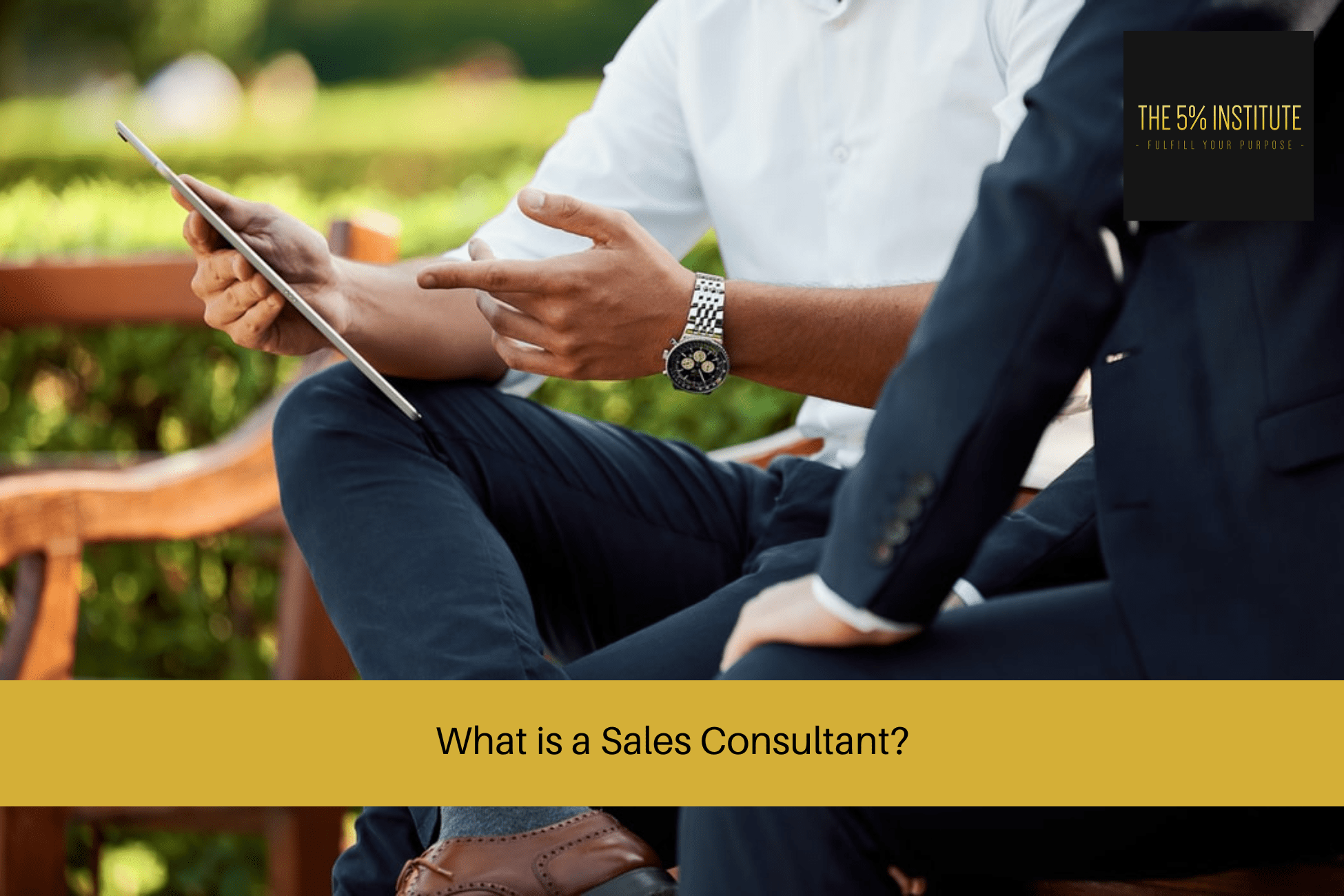 What is a Sales Consultant