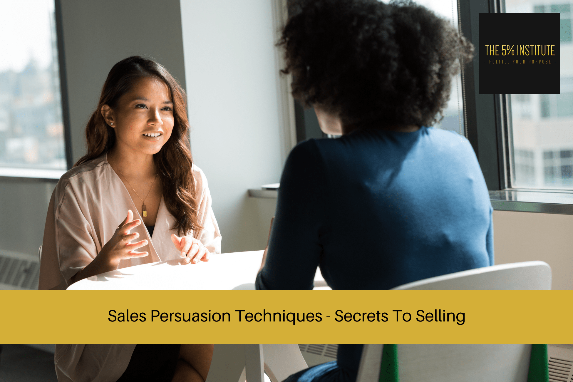 Sales Persuasion Techniques - Secrets To Selling