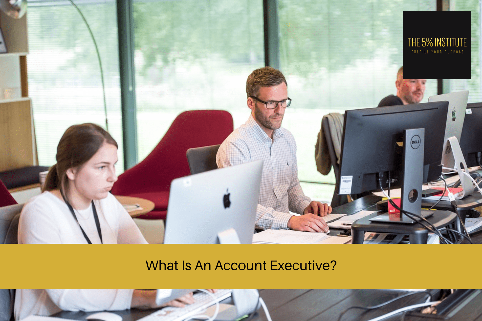 What Is An Account Executive